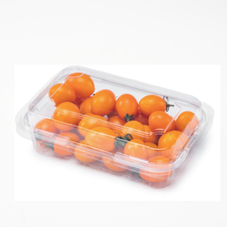 GLD-300C Premium Food-Grade PP Fruit Box