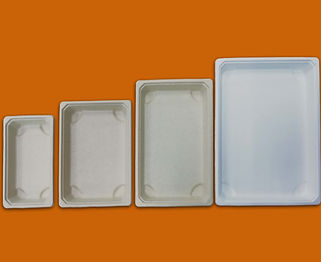 Degradable Tray
